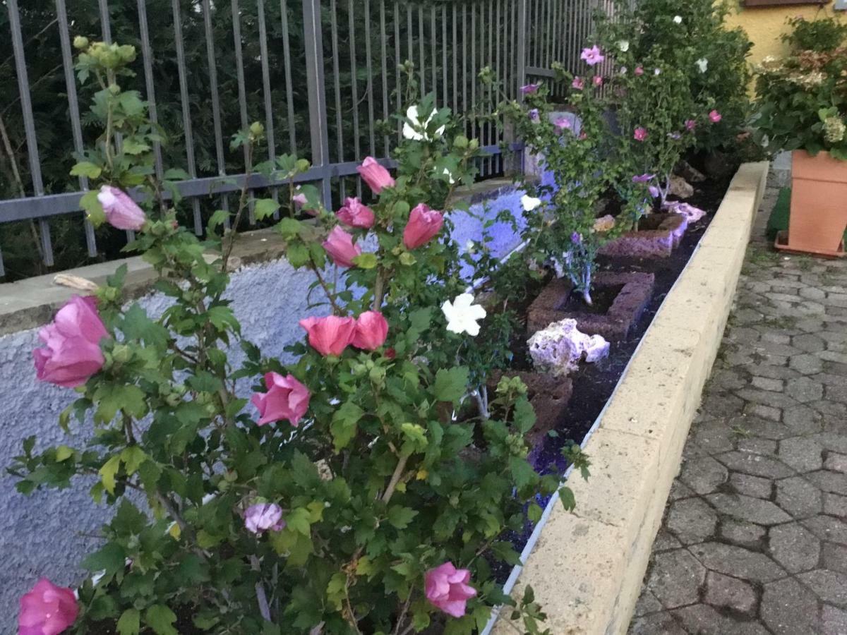Villa Marilena Ranzanico 外观 照片